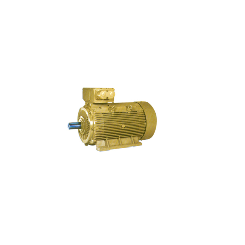 TEFC Squirrel Cage Induction Motors Distributor & Dealer in India